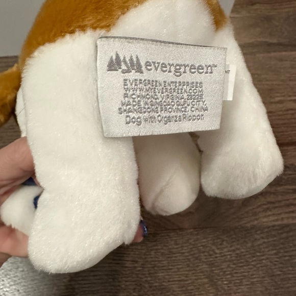 Beagle dog with a red ribbon by Evergreen. - Picture 7 of 7